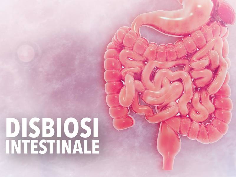 Disbiosis intestinal y celiaquía