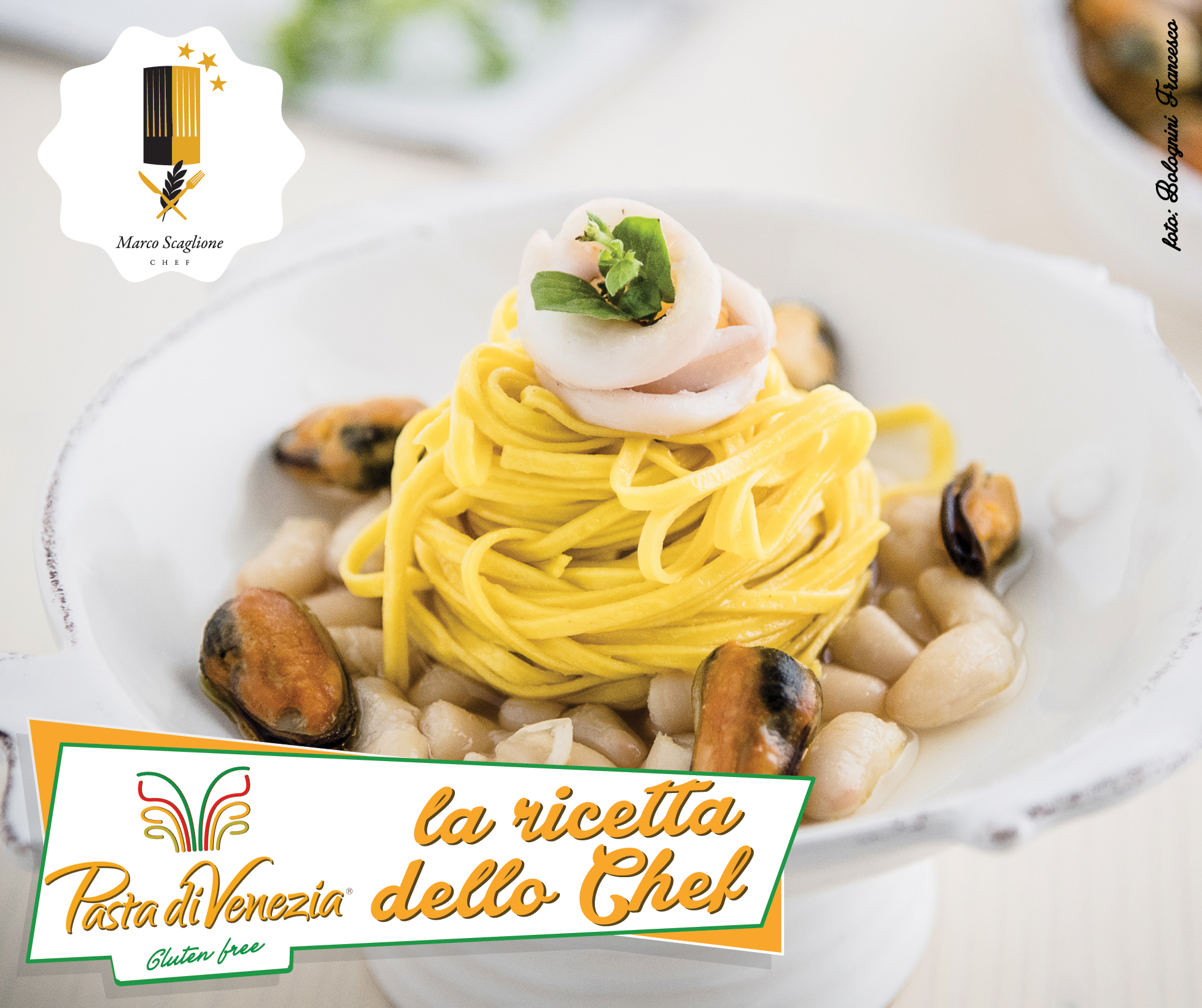 Tagliolini without gluten to the egg with shelled mussels, calamari nuanced beer and cannellini beans to the earthenware 