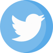 Twitter share button