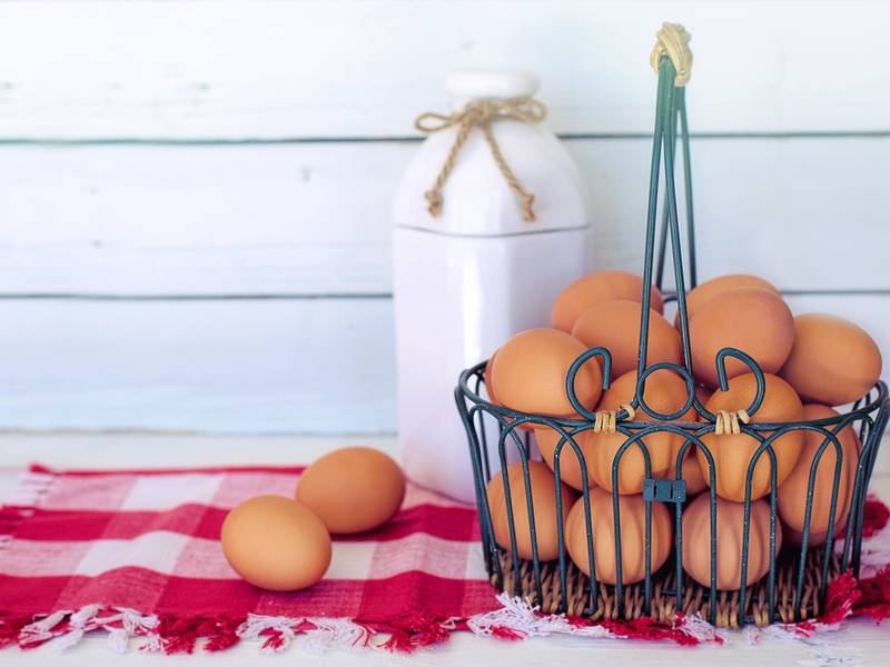 Le uova sono un alimento essenziale per moltissime ricette, da gustare singole o come ingrediente presente in piatti più complessi.