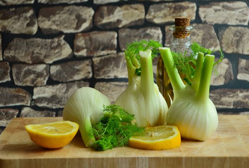 Fennel : plant rich in properties and benefits