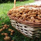 Las almendras aliadas de la línea y del corazón