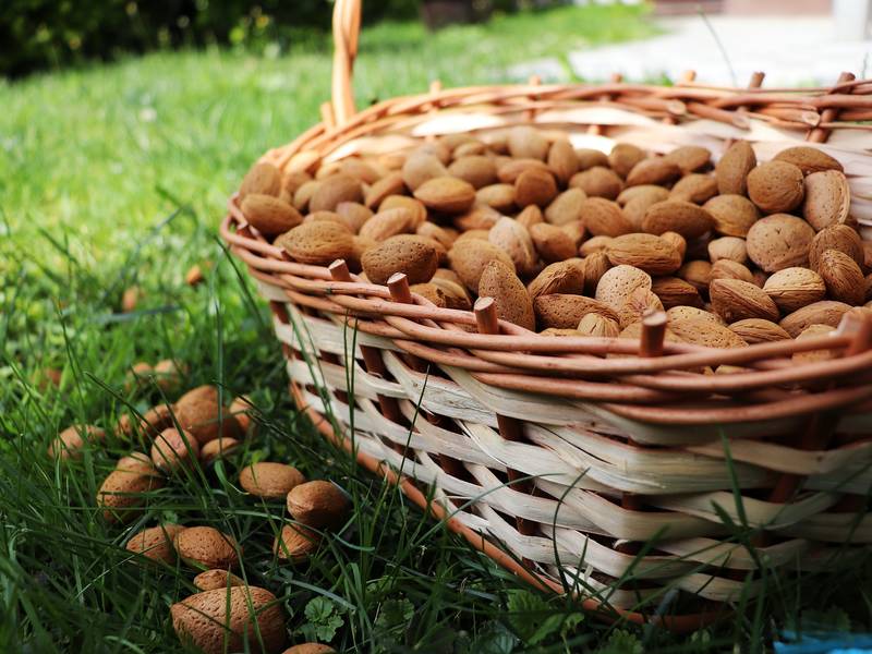 Las almendras aliadas de la línea y del corazón