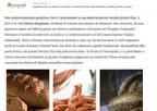 Phantografo magazine: il pane e le sue forme intervista Marco Scaglione